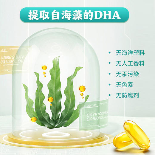 【FLORA】加拿大富兰 海藻DHA胶囊60粒/瓶 商品图1