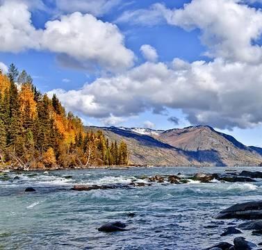 香in 旅行限定线香 商品图1