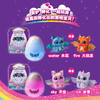 斯平马斯特Spin Master  哈驰魔法蛋-诞生系列神秘版 商品缩略图6