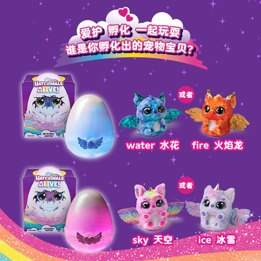 斯平马斯特Spin Master  哈驰魔法蛋-诞生系列神秘版 商品图6