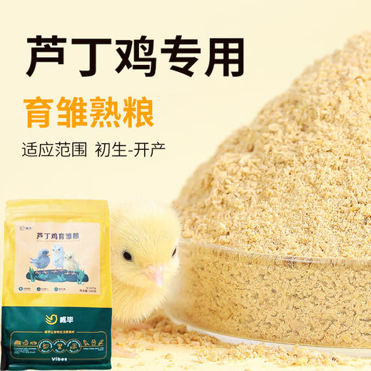 芦丁鸡育雏粮500g 小动物鸡饲料 主粮玉米碎 商品图0