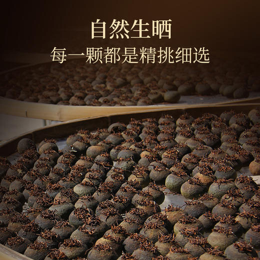 华祥苑-星时光普洱小青柑2颗装品鉴茶20g 商品图3