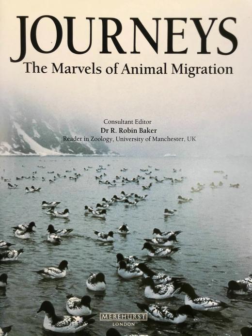 奇妙之旅：动物迁徙的奇迹 300幅彩色插图 精装大16开 商品图3