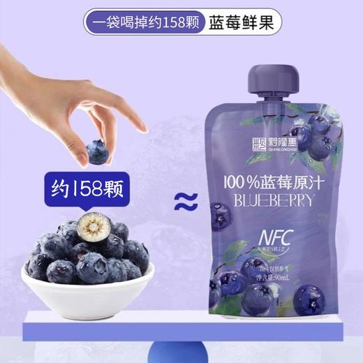 黔隆惠NFC蓝莓原汁 商品图3