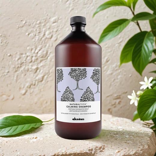 大卫尼斯自然舒缓洗发水 1000ml/瓶 商品图0