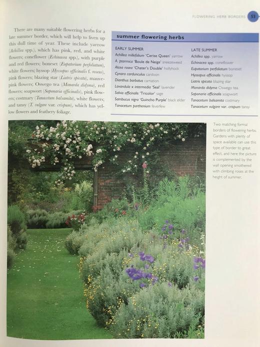 终极草药书 数百幅彩色插图 精装大16开 商品图8