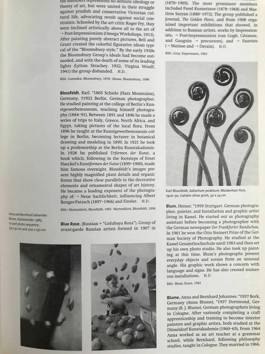 二十世纪艺术与艺术家辞典 501幅彩色插图 精装16开 商品图12