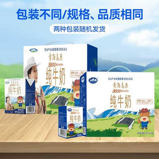 青海湖纯牛奶200ml*10/件 商品图2