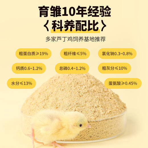 芦丁鸡育雏粮500g 小动物鸡饲料 主粮玉米碎 商品图3