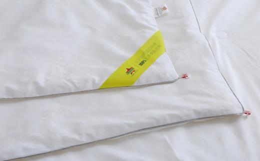 【桑园公社】桑蚕丝被子母被系列 商品图2