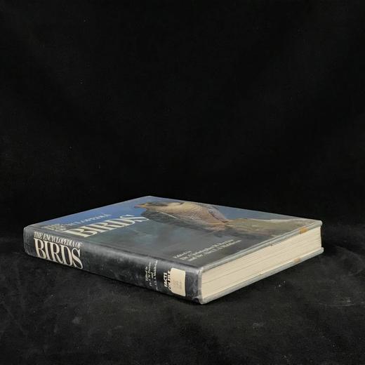 鸟类百科全书 700幅彩色插图 精装16开 商品图1