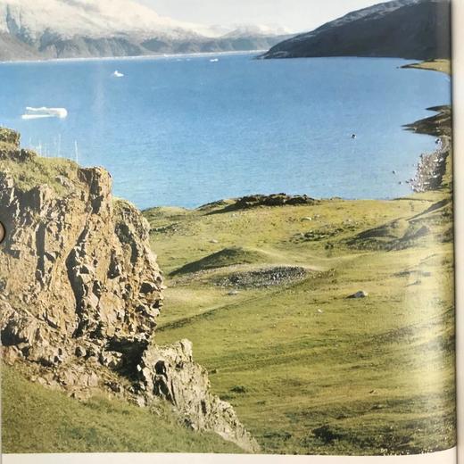 维京人图集（1991） 数百幅插图 精装大16开 商品图12