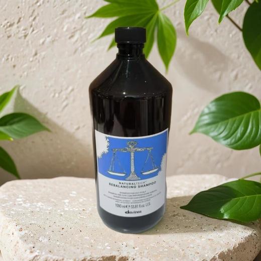 大卫尼斯自然平衡洗发水 1000ml/瓶 商品图0