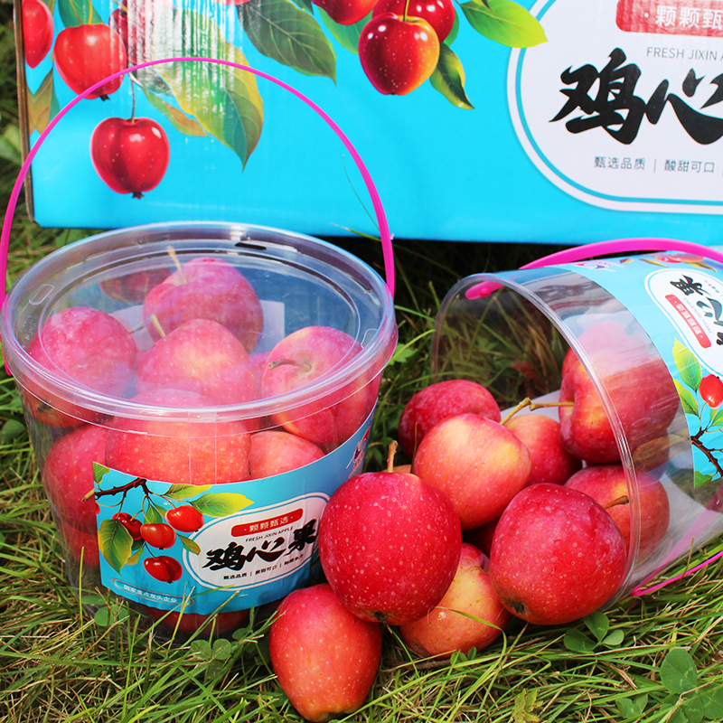 【锦绣海棠鸡心果】鸡心果抱抱桶陕西洛川鸡心果苹果 海棠小苹果 6桶/箱 约9斤装 新鲜水果