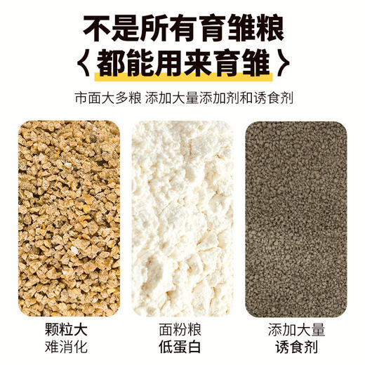 芦丁鸡育雏粮500g 小动物鸡饲料 主粮玉米碎 商品图1