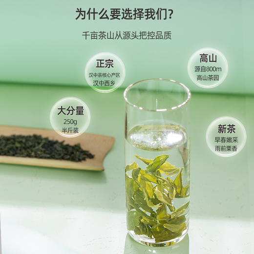 东裕茗茶特级炒青250克三角袋装  醇厚耐泡 甘醇栗香 商品图4
