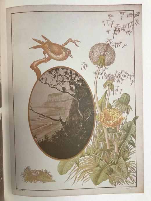 维多利亚时代的肖像 数百幅插图 精装大16开 商品图8