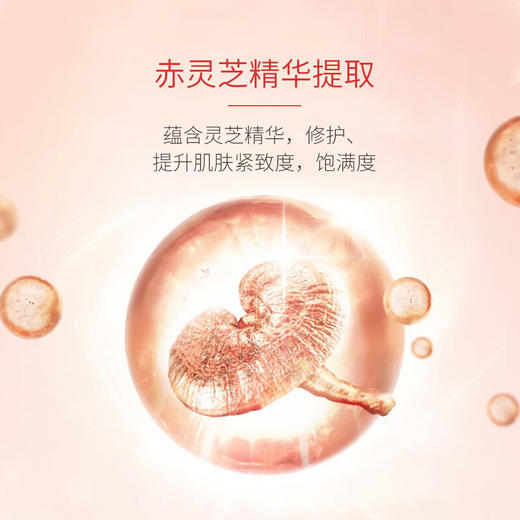 淡纹水 」片仔癀牌灵芝臻颜 商品图1