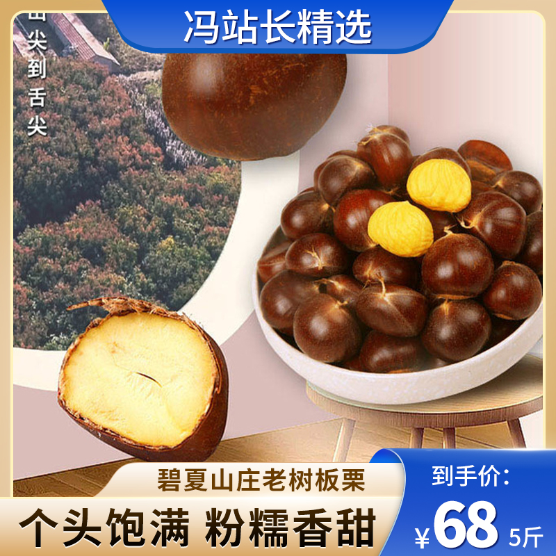 碧夏山庄老树板栗 源头直发 新鲜栗子 粒粒饱满 色泽鲜亮