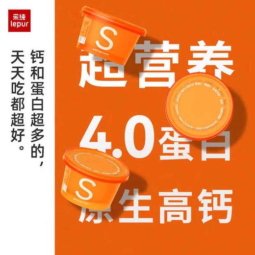 乐纯超纯发酵乳酸奶300g 商品图2