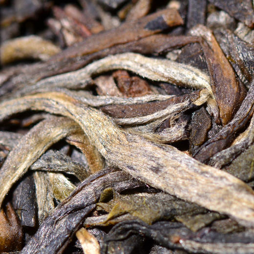 【老郭私藏】2023年冷水河超威产区高杆古树！ 国有林深山秘境茶！冷水之河，凌冽鲜甜！好评超强！仅抢40饼！错过再无~ 商品图3