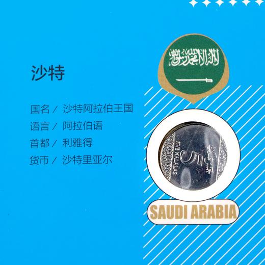 世界杯32强纪念币大全套！一次集齐！ 商品图8