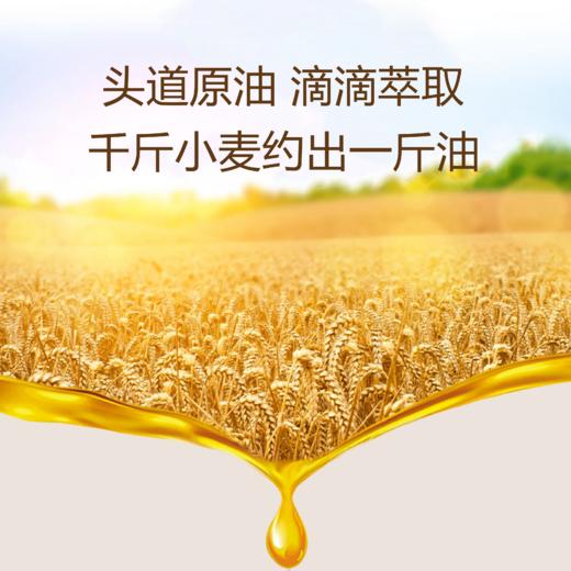 【一乐专属】超及食沃小麦胚芽油258ml/瓶 维生素E宝库 低温萃取 商品图3