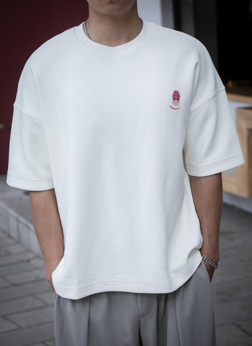 E430812245刺绣短袖T恤 商品图1