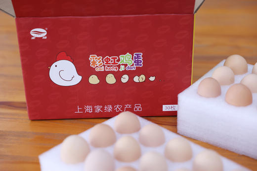 家绿散养鸡蛋 40枚农场散养 商品图3