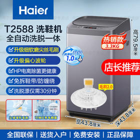 海尔（Haier）洗鞋机全自动刷鞋机可脱水家用智能洗脱一体多功能懒人洗鞋神器迷你免拆鞋带 【新上款 电离除菌 磨尖丝球刷】