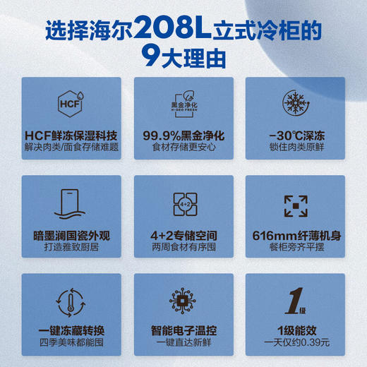 海尔（Haier）国瓷系列208升一级能效风冷家用立式冷藏冷冻柜抽屉式冷柜小冰柜家用小冰箱BD-208WGHB9D 商品图3