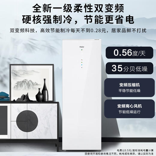 海尔（Haier）208升一级能效风冷家用立式冰柜 冷藏冷冻柜抽屉式冷柜小冰柜家用小冰箱BD-208WGHW1 商品图3