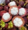 泰国山竹4A沙竹 | 进口水果 商品缩略图1