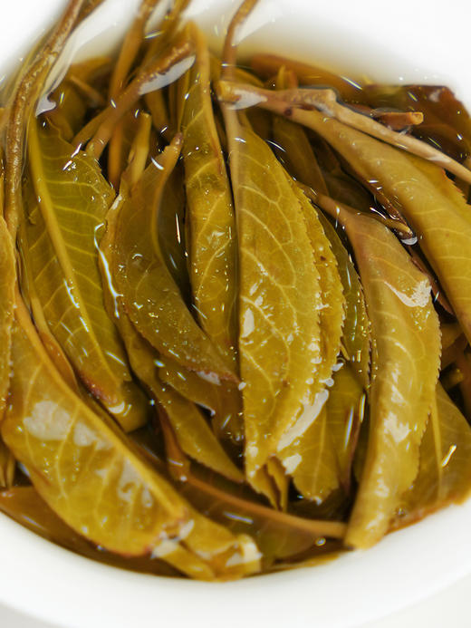 【妖王】2024年春茶布朗山新宠 广别老寨500年古树茶菁，普洱茶生茶357g/饼拍5发6 商品图2