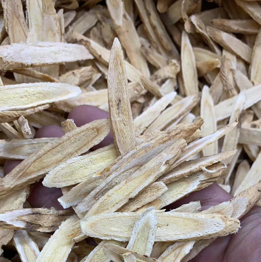 1.0-1.2甘黄芪柳叶片  选片 商品图1