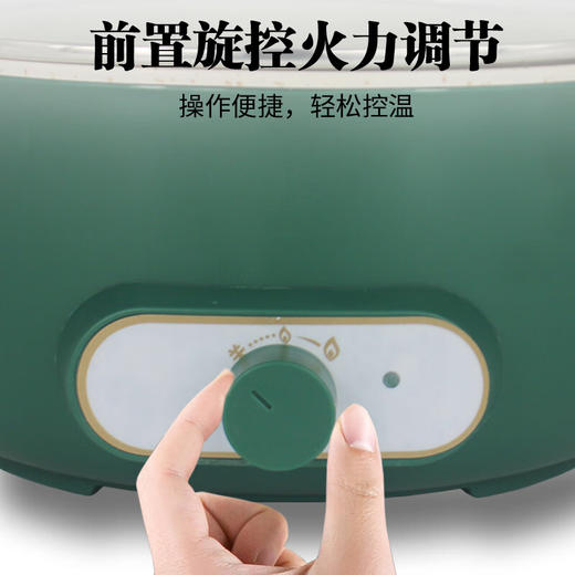 【小家电】REVERE家用多功能电火锅RES-HG1200/YK墨绿色 4L HF 商品图1