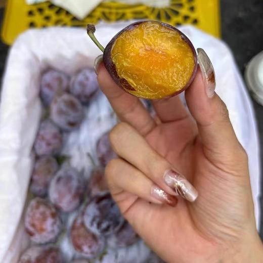 新疆西梅【大果】 | 水果 商品图0