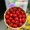 乌梅番茄🍅（500g/盒） 商品缩略图0
