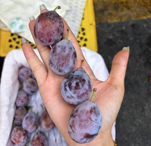 新疆西梅【大果】 | 水果 商品图1