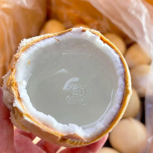 【清甜多汁】泰国椰皇 约450g/个 商品图2