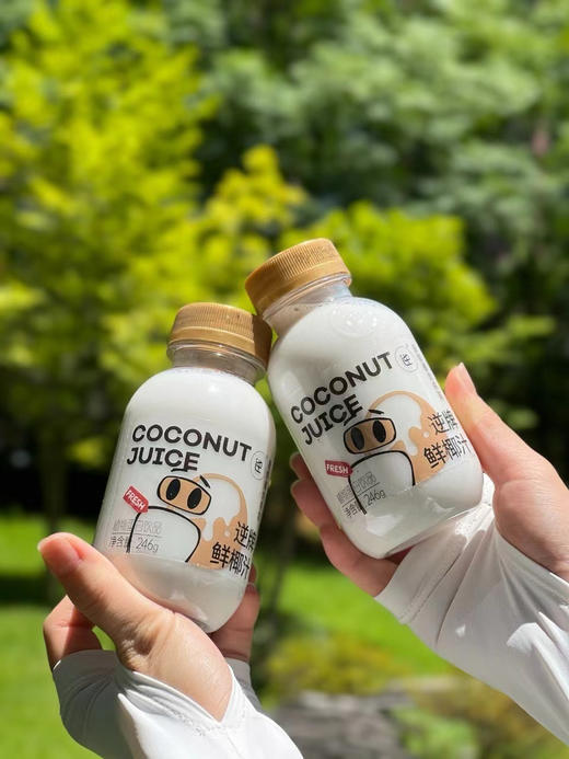 逆牌NFC鲜椰汁（246g×10瓶） 商品图5