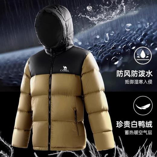 【选用长白山雪域 85%白鸭胸腹绒毛】骆驼 2.0 火山系列羽绒服 商品图2