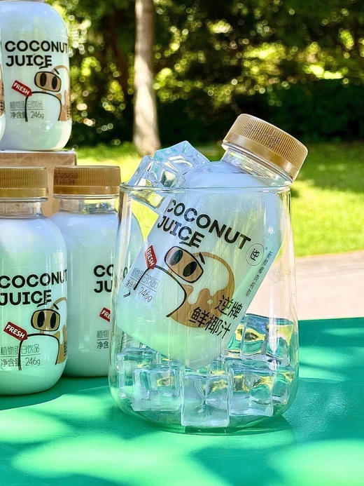 逆牌NFC鲜椰汁（246g×10瓶） 商品图3