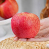 【秦脆苹果】16枚90mm超大果顶端果业陕西洛川秦脆苹果手提礼盒 商品缩略图5