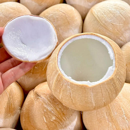 【清甜多汁】泰国椰皇 约450g/个 商品图1