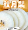 山东秋月梨 6头约3.4斤 |水果 商品缩略图0