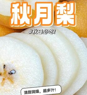 山东秋月梨 6头约3.4斤 |水果