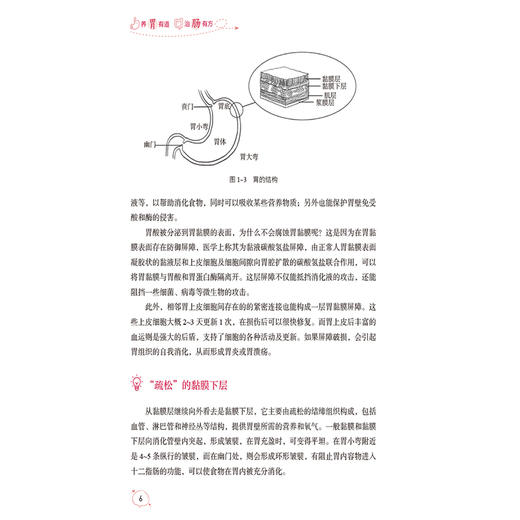 养胃有道 治肠有方阐述诱发胃肠疾病不良饮食生活习惯 讲解胃肠病常见表现潜在隐患 主编檀碧波等中国医药科技出版社9787521445374 商品图4