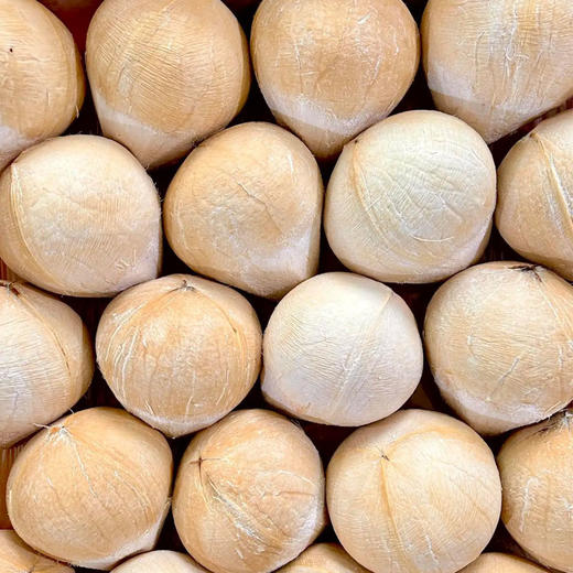 【清甜多汁】泰国椰皇 约450g/个 商品图0