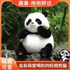 趣巢抱抱胖达仿真大熊猫可眨眼卖萌超可爱公仔儿童生日礼物 商品缩略图0